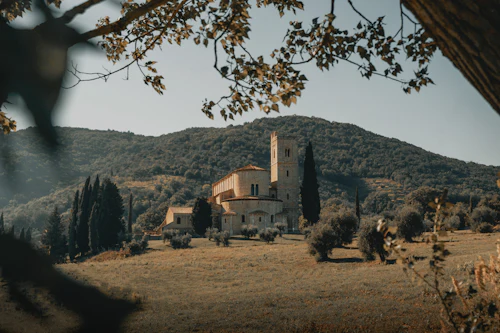 Montalcino's fortress among cypress trees