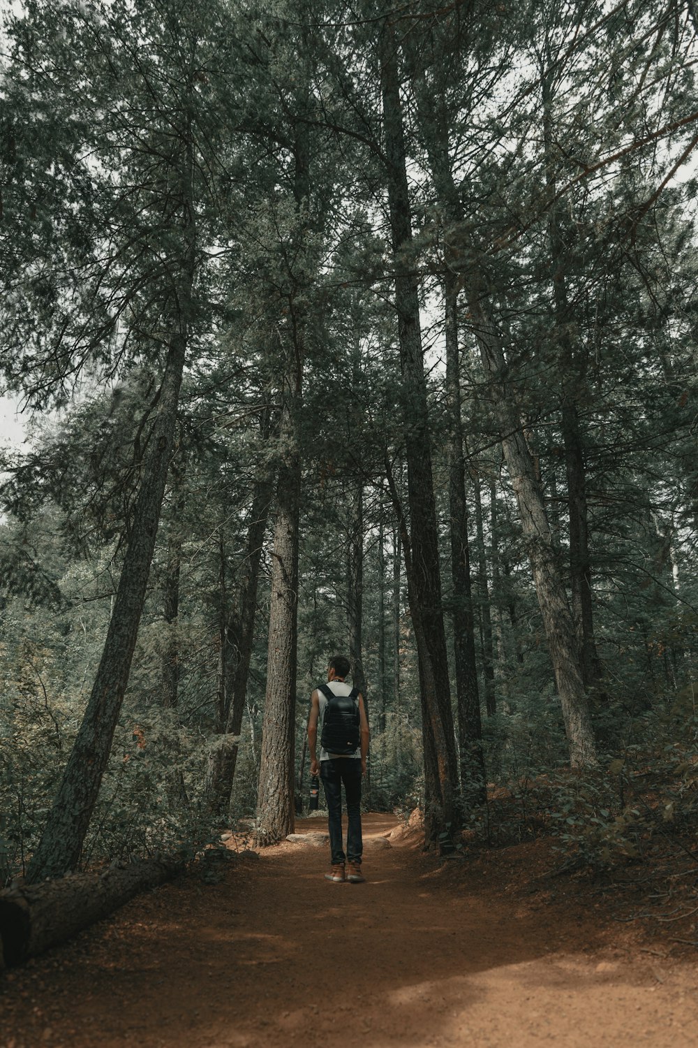 man walking on road between trees