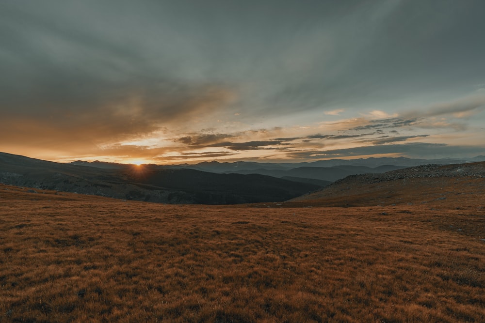 brown grass field and gray clouds