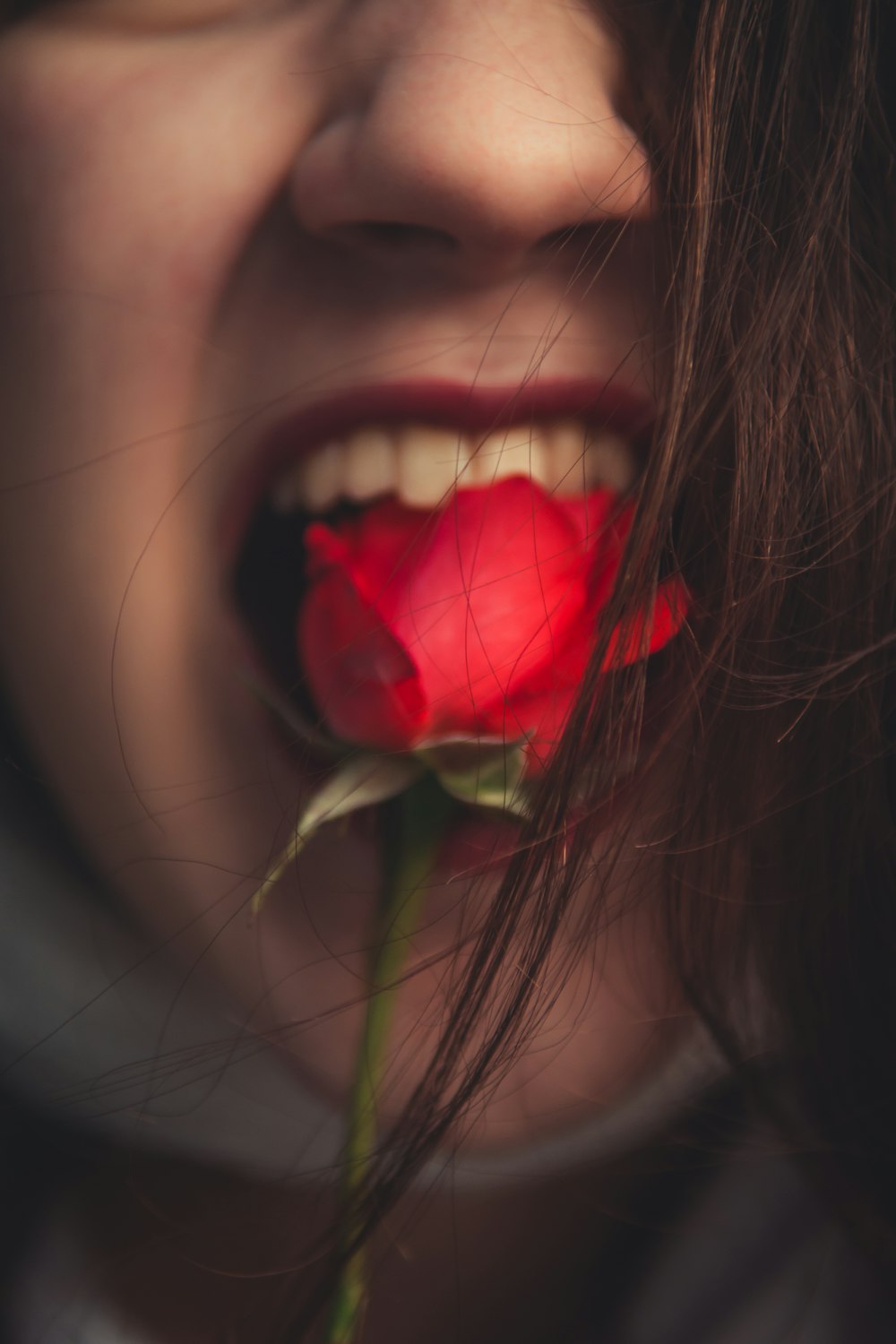 woman puts rose into her mouth