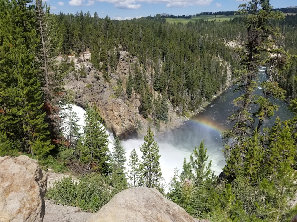 body of water and trees