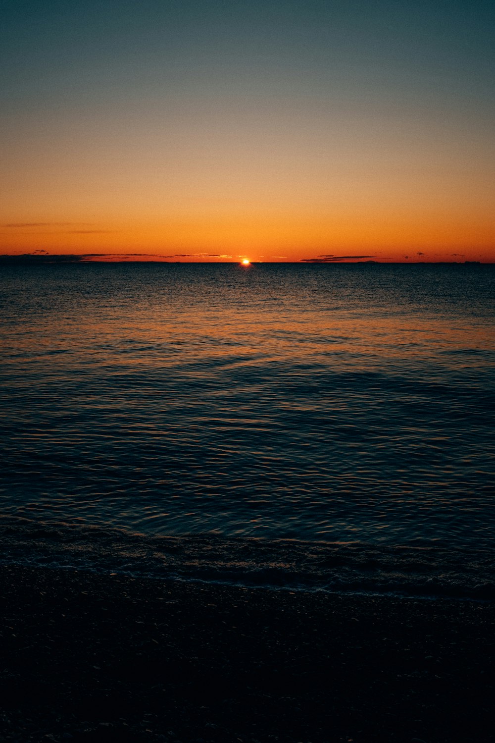 seashore during sunset