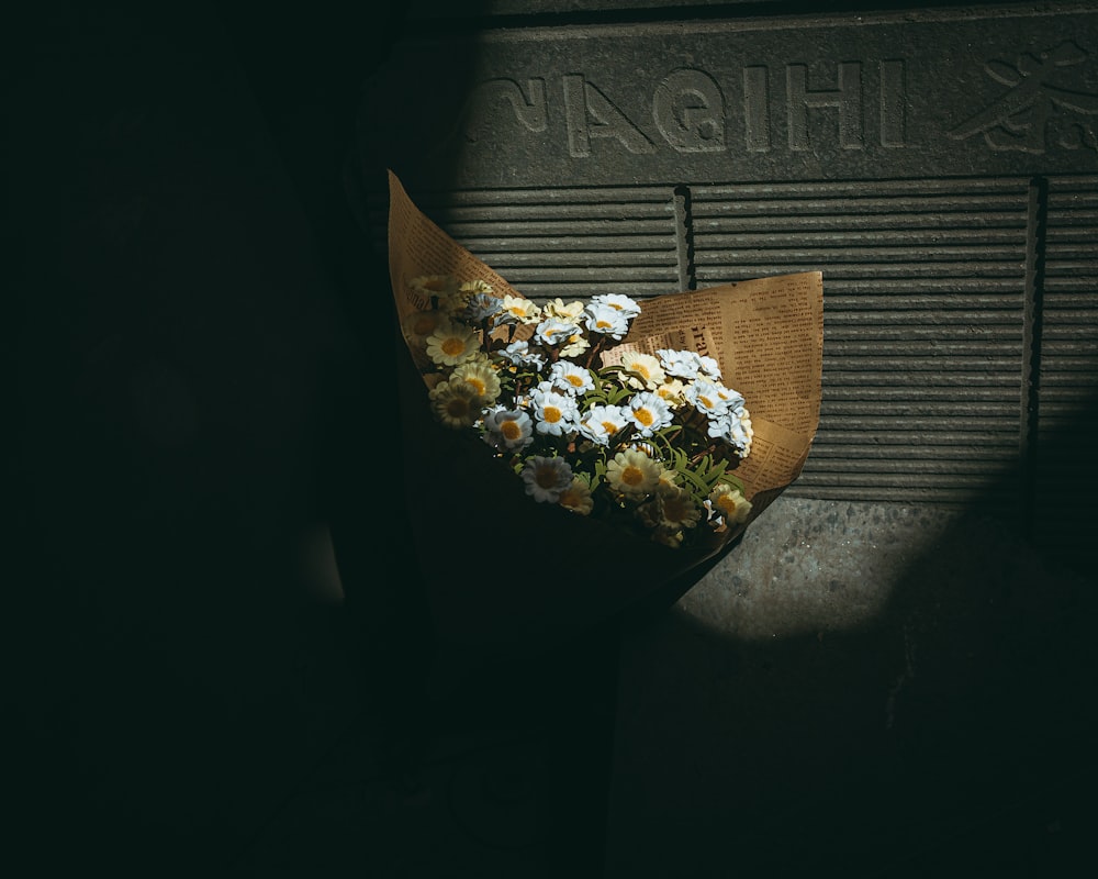 photo de fleurs de marguerite blanche