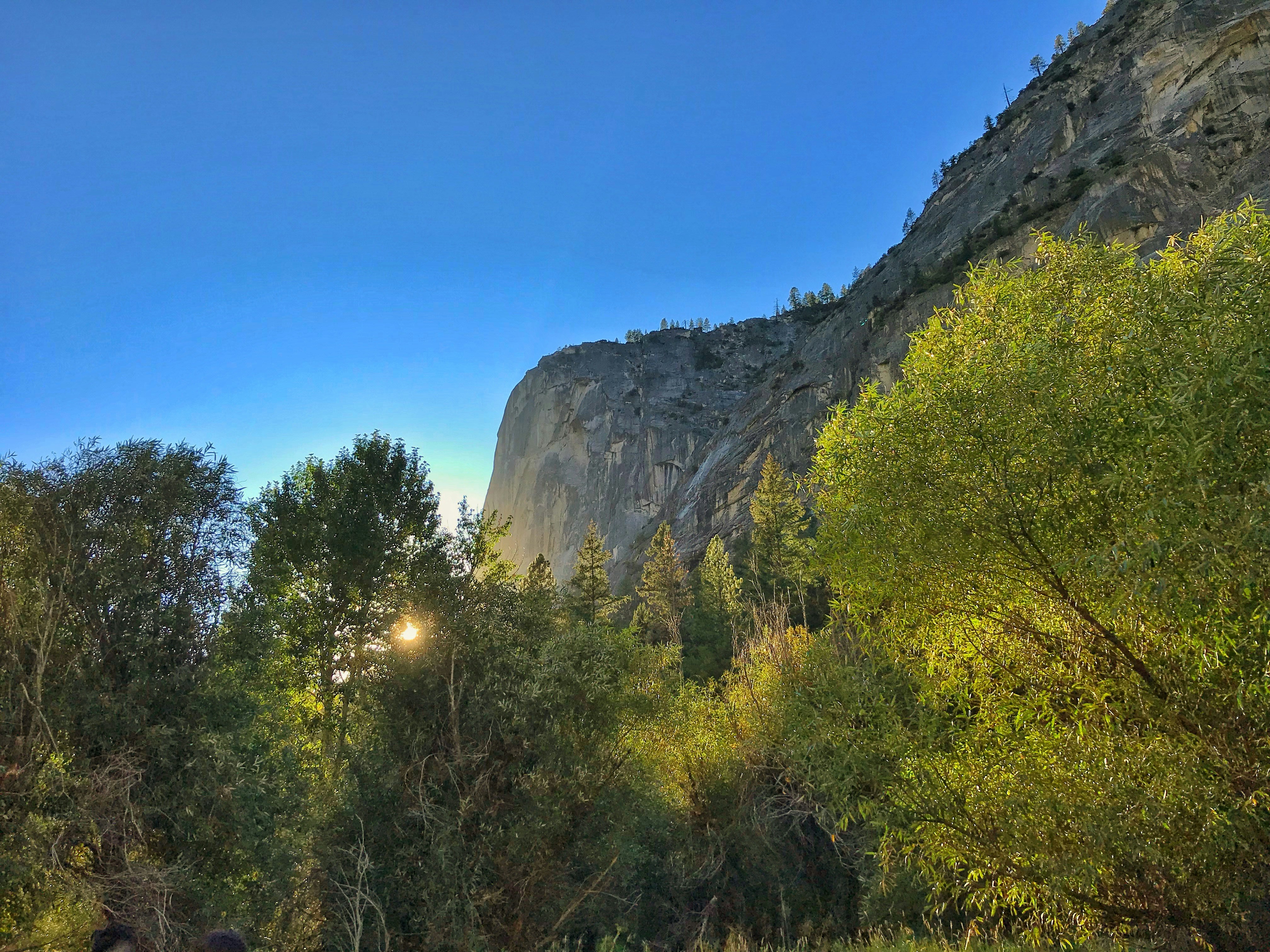 Árboles verdes y paisajes montañosos