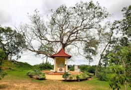 A peaceful moment of prayer with students under the shade of a large tree.