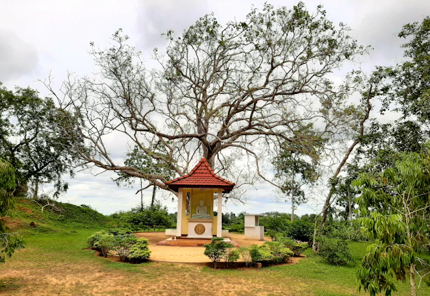 A peaceful sunset over a small shrine where families gather to reflect and pray.