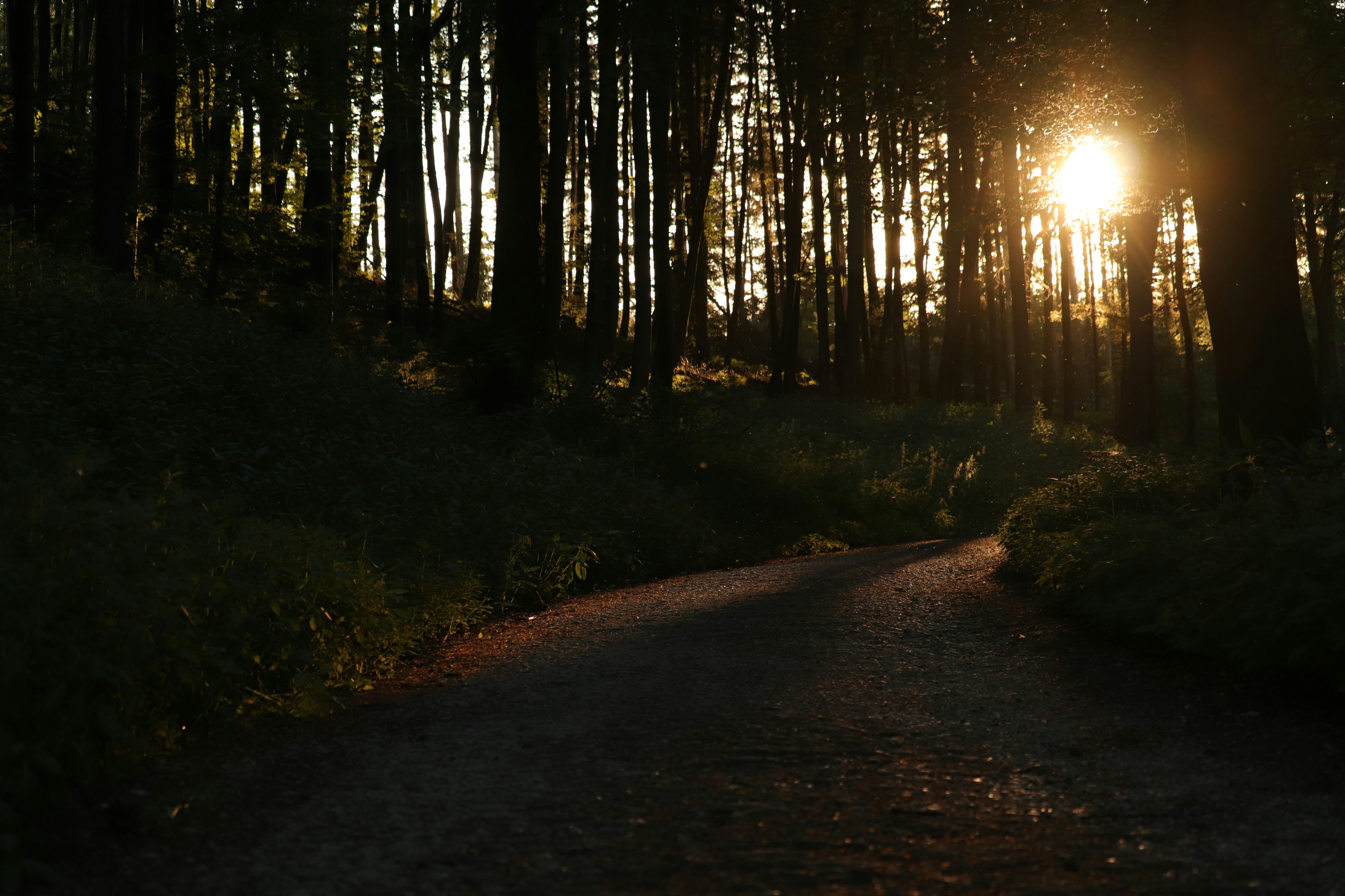 Rutheneum header image