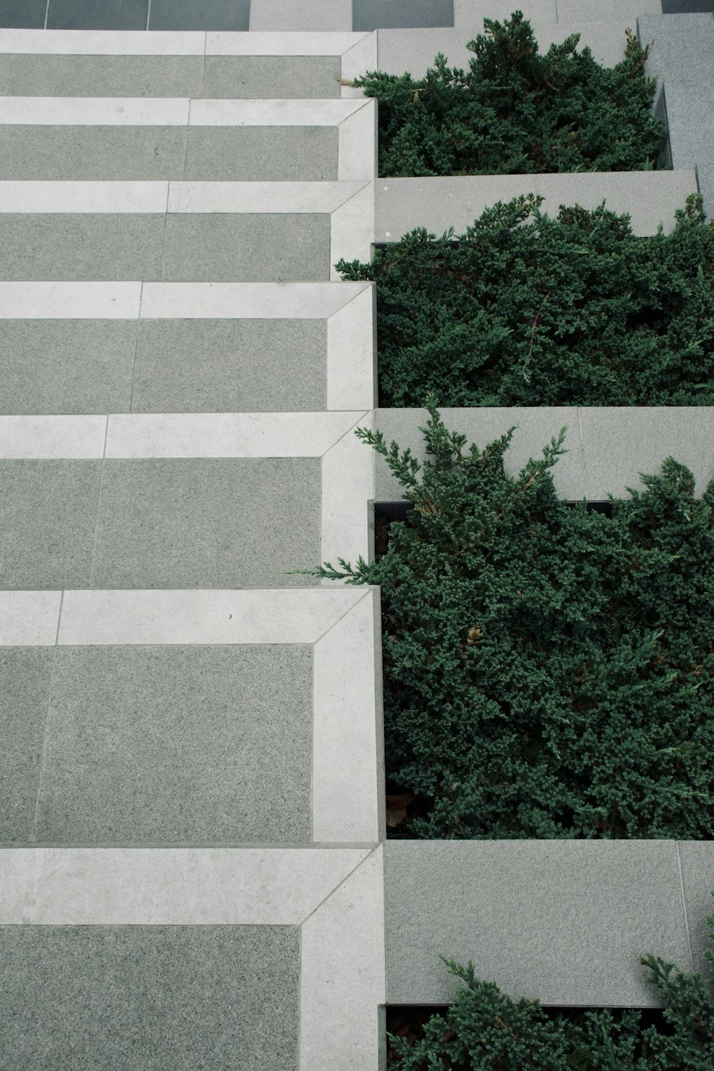 green-leafed plants on gray building