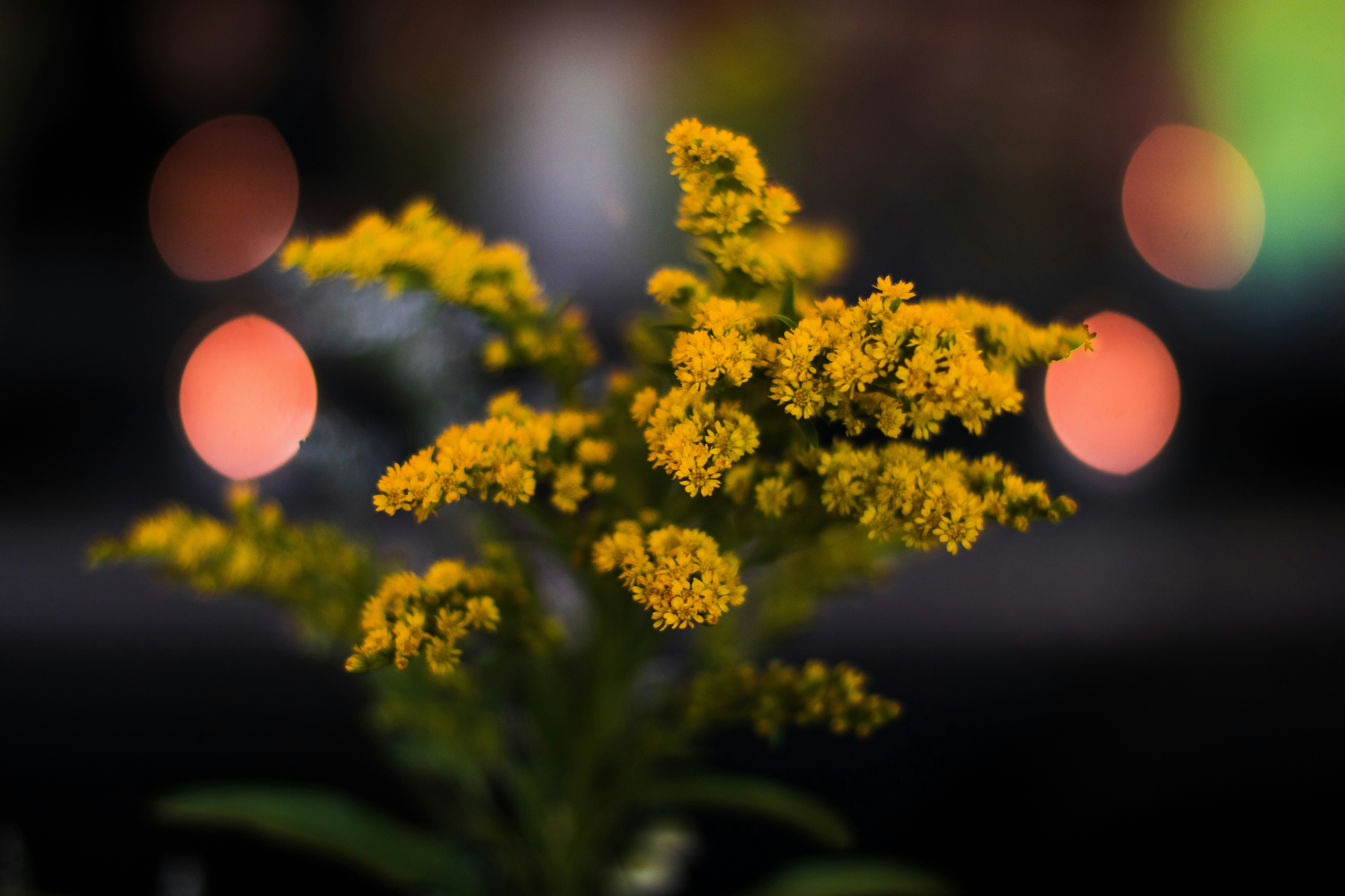 Photo by jechristianmack