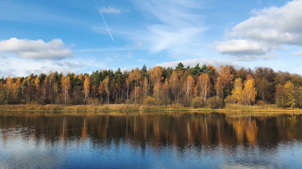 calm body of water beside trees during daytime