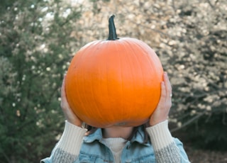 person holding orange pumpkin outdoors