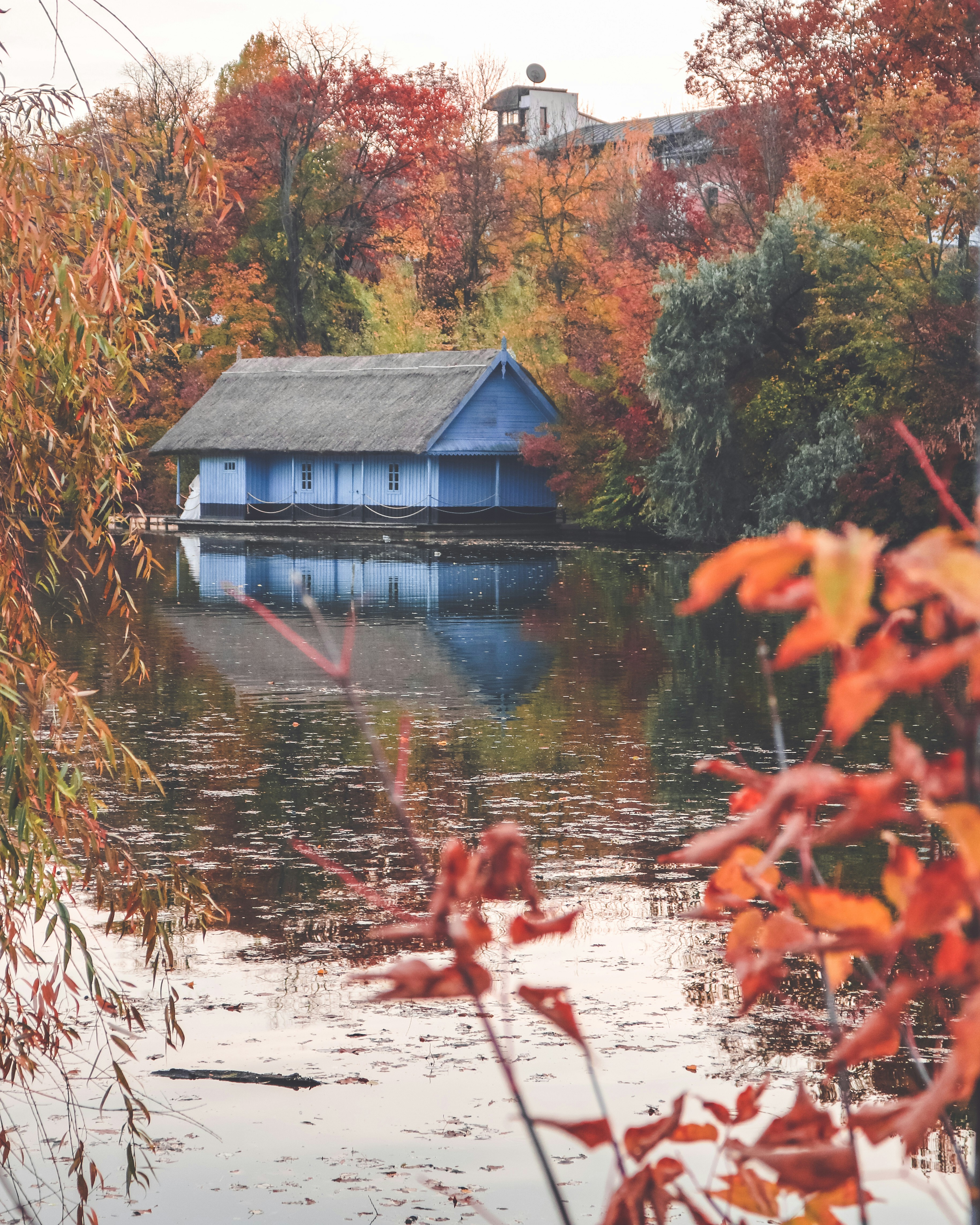 Photo by emilia_morariu