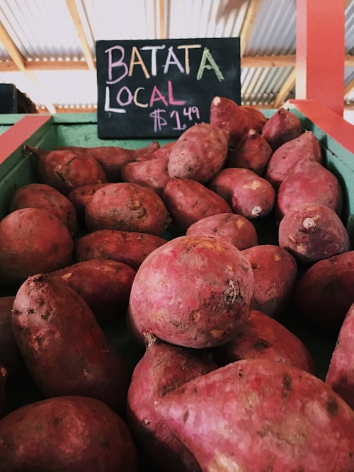 Sweet Potato Varieties