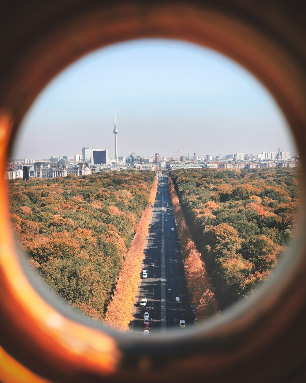 photo of green and brown trees and asphalt road