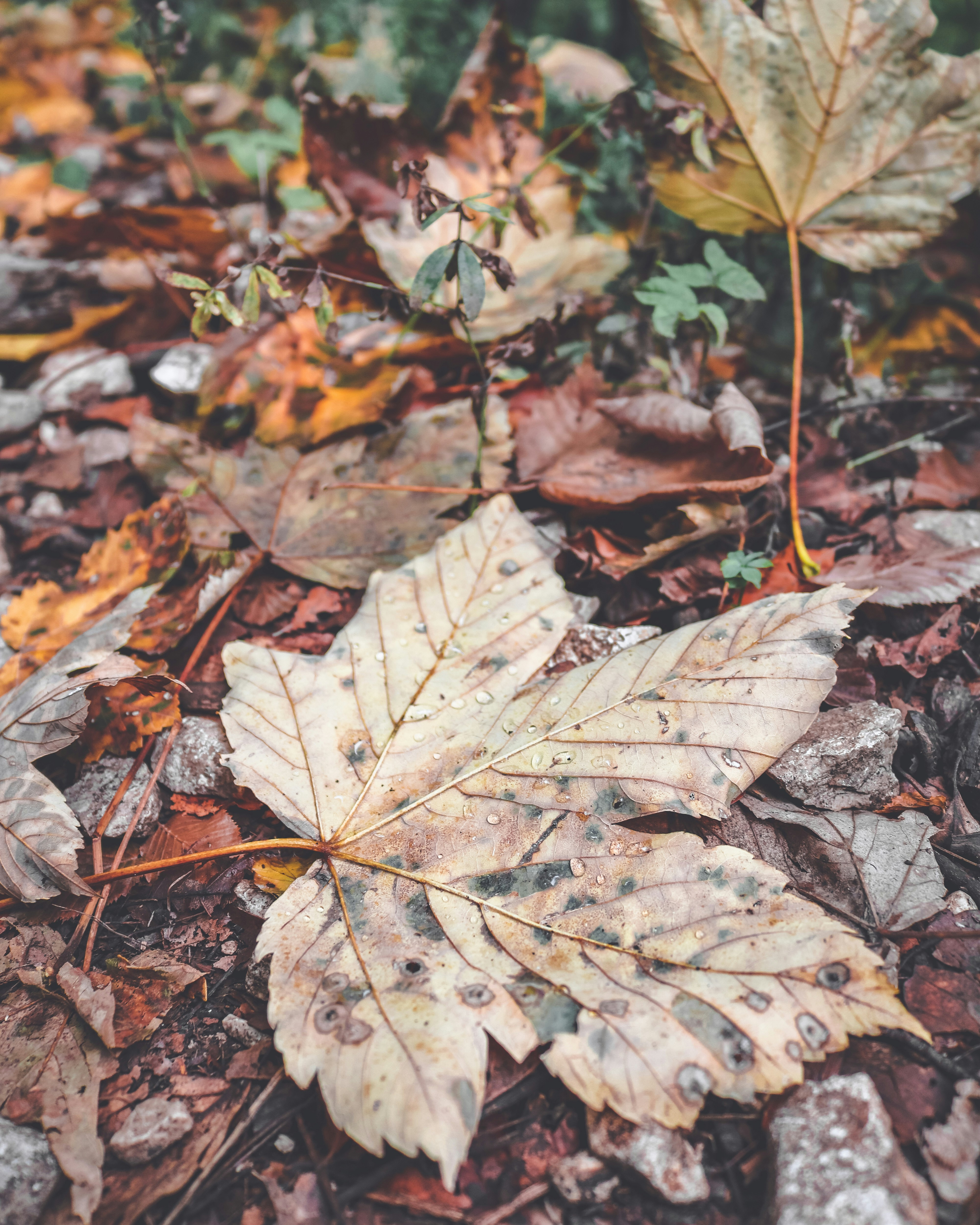 Photo by emilia_morariu