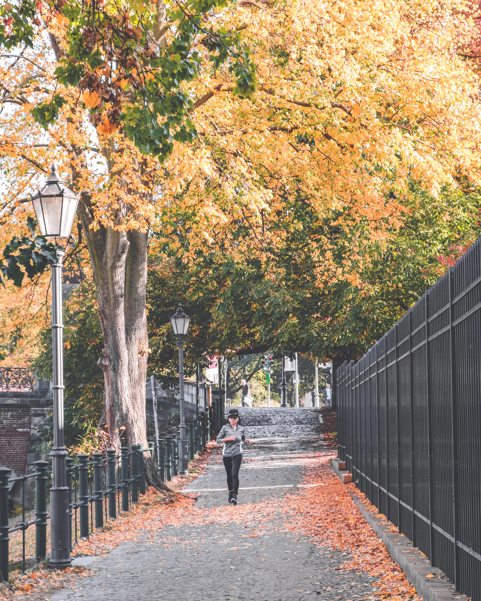 Une femme marche et court sur une allée bordée d'arbres aux couleurs d'automne