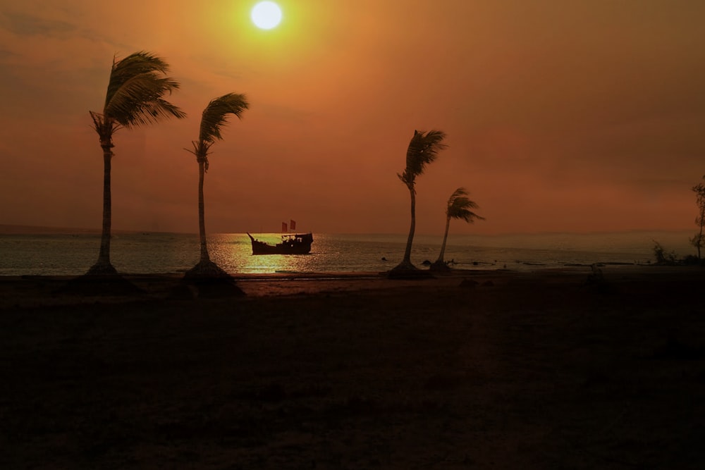 sailing boat during sunset