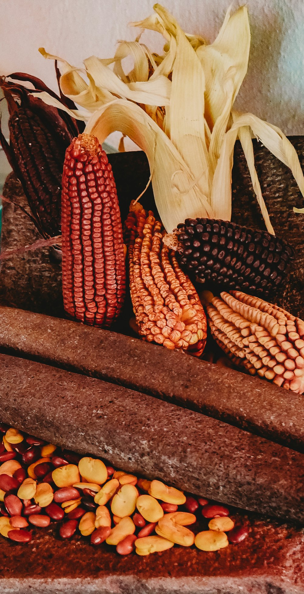 assorted-color corns