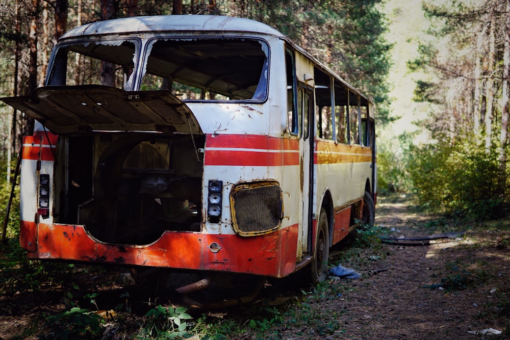 white and red bus