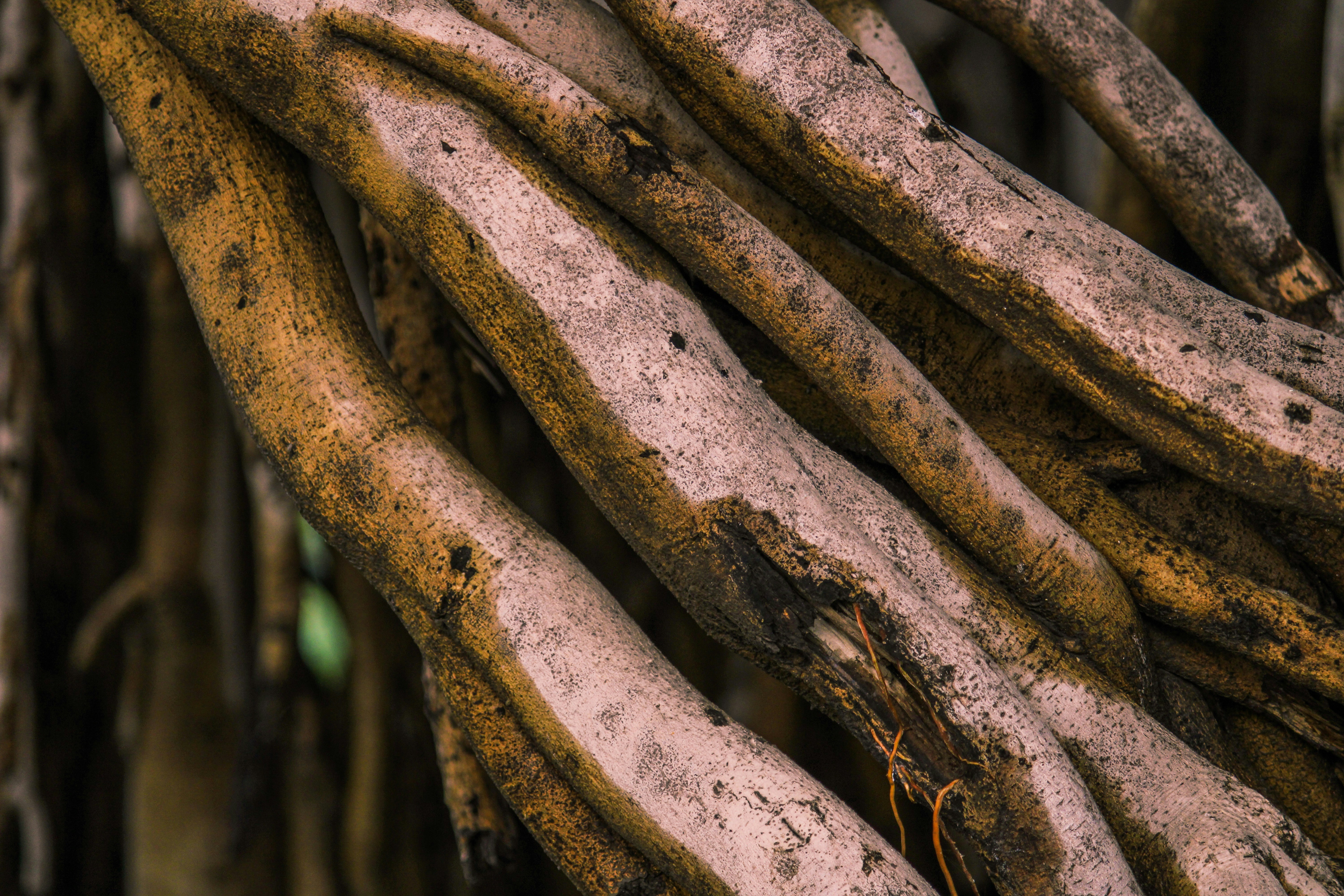 Photo by sarfrazali_shaikh_photography