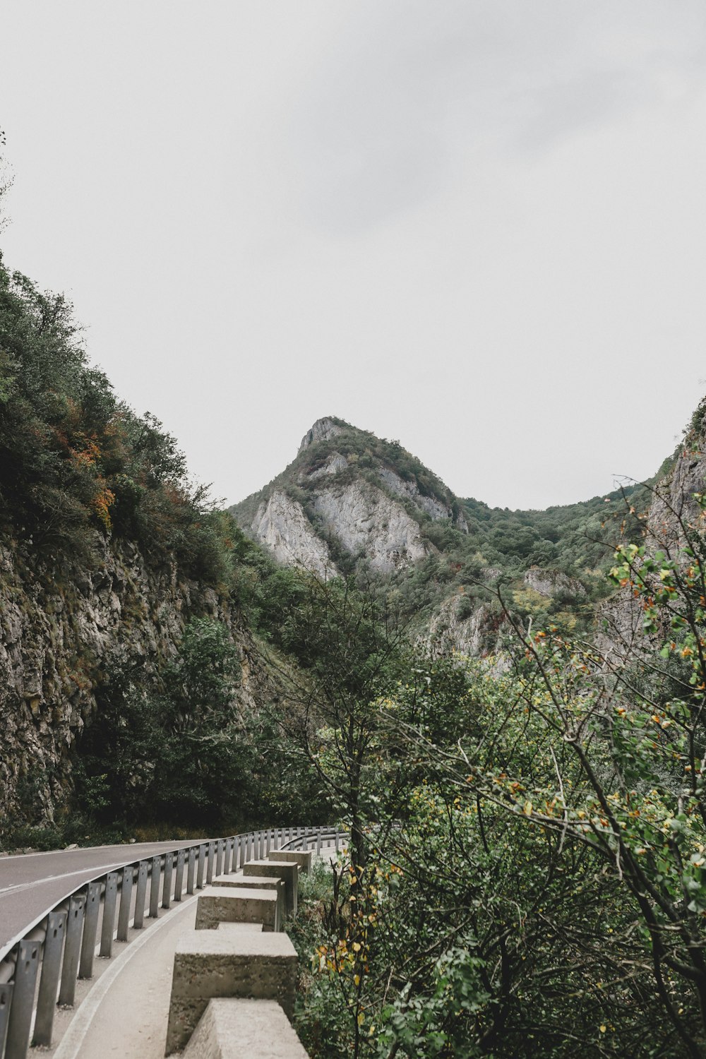 asphalt road surrounded by mountains