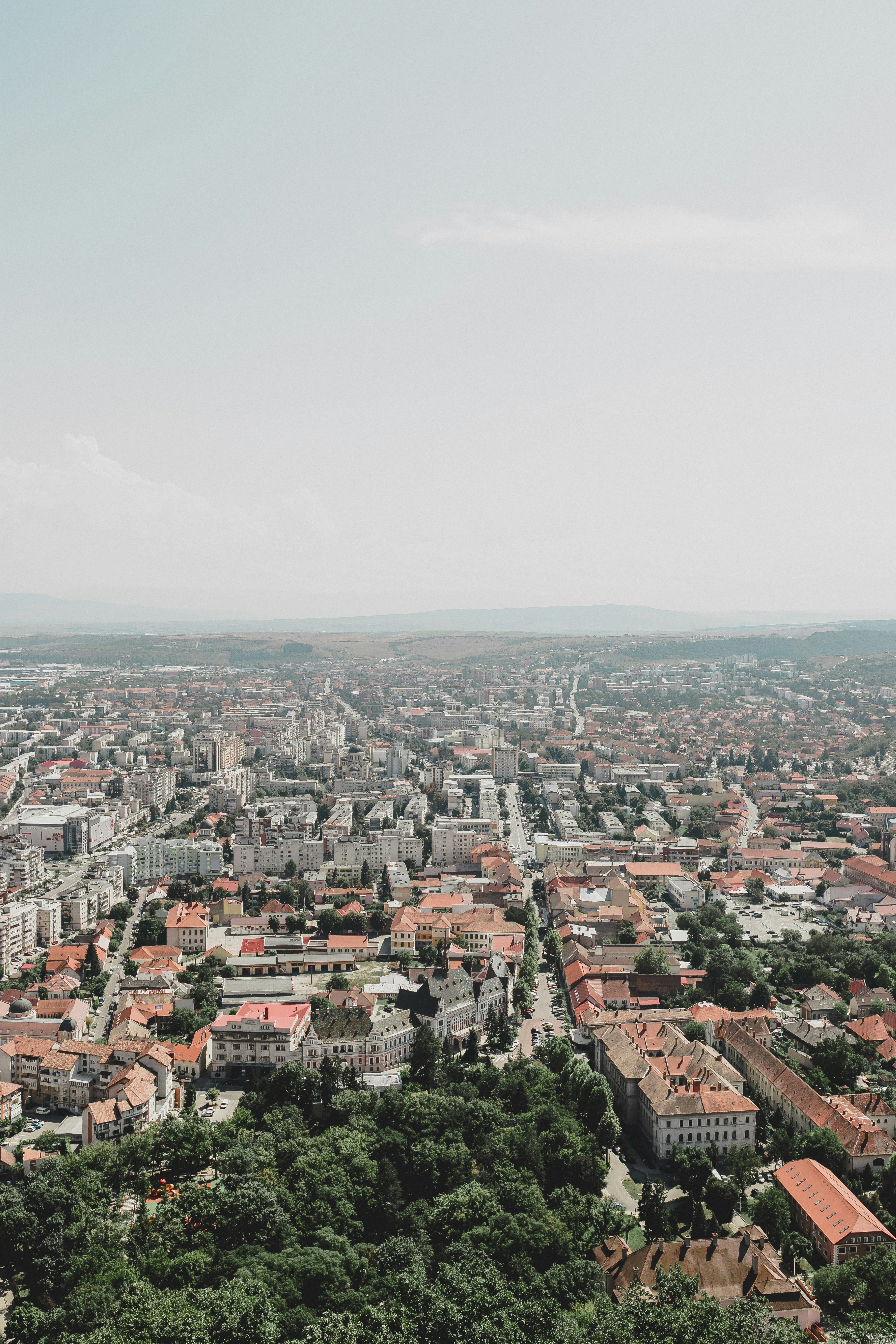 Photo by aniculesei_sebastian