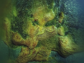 green and blue abstract painting