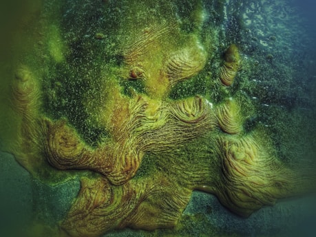 green and blue abstract painting