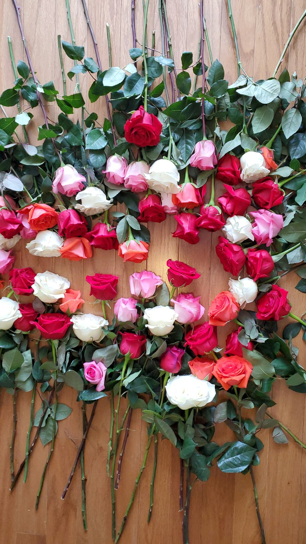 pink and white roses