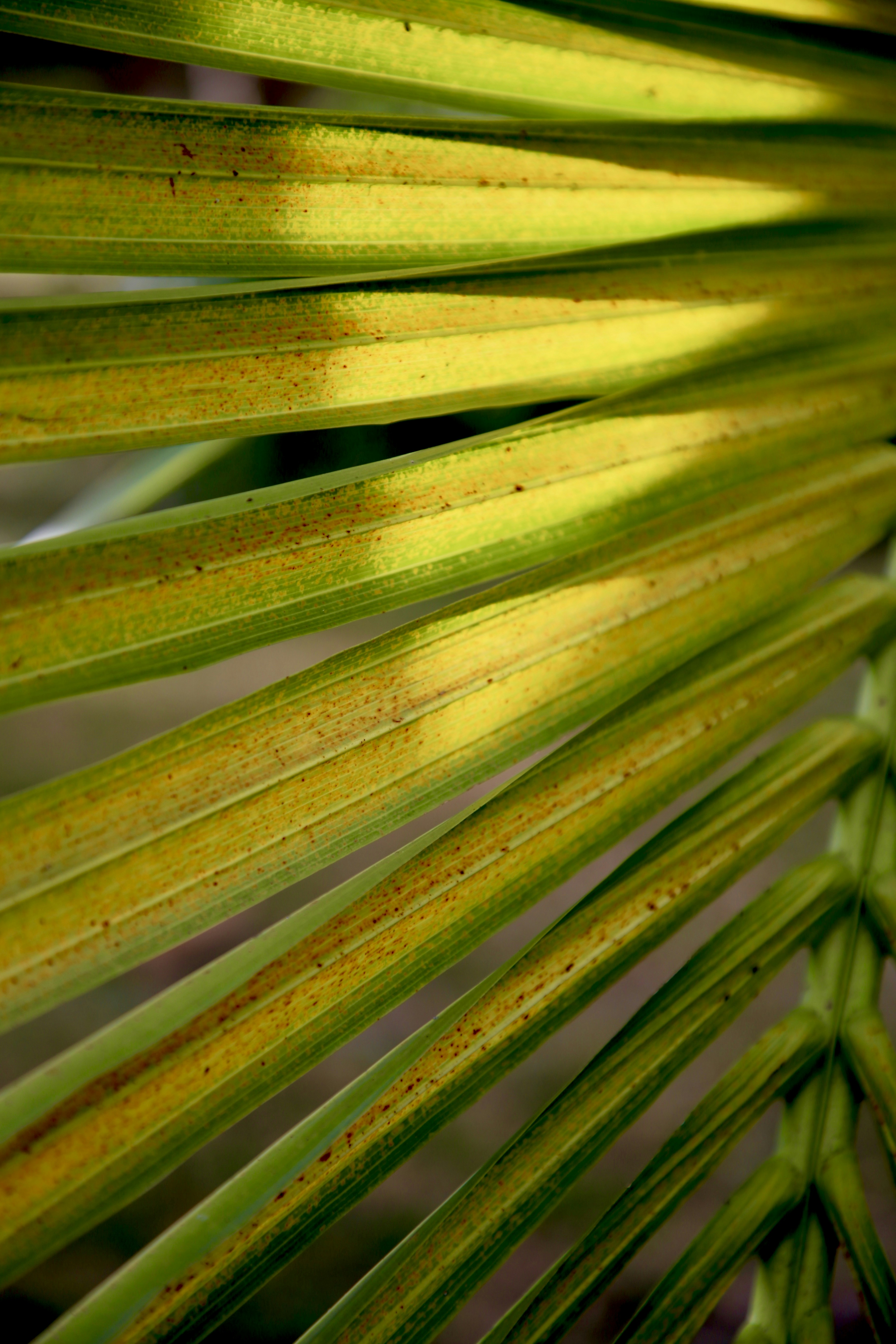 Photo by nathalie_spehner