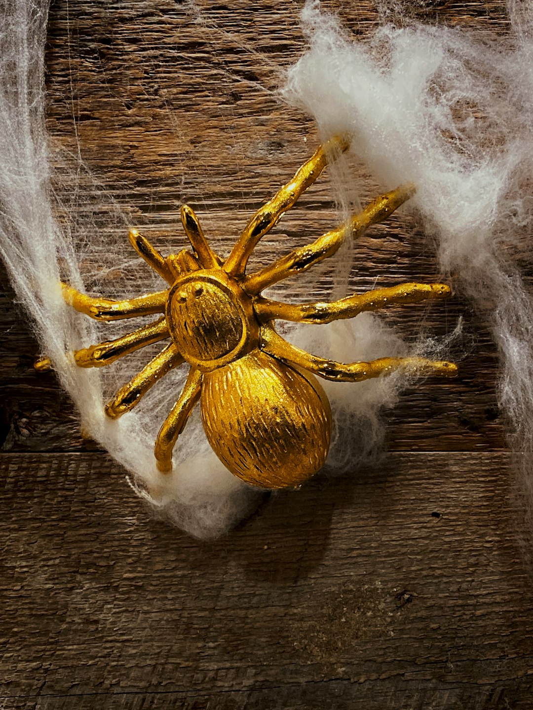 gold-colored spider decor