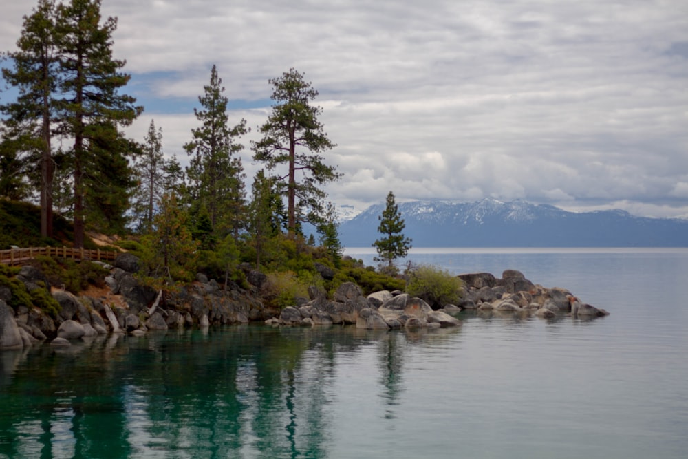 reflection of green trees on body of water during daytiem