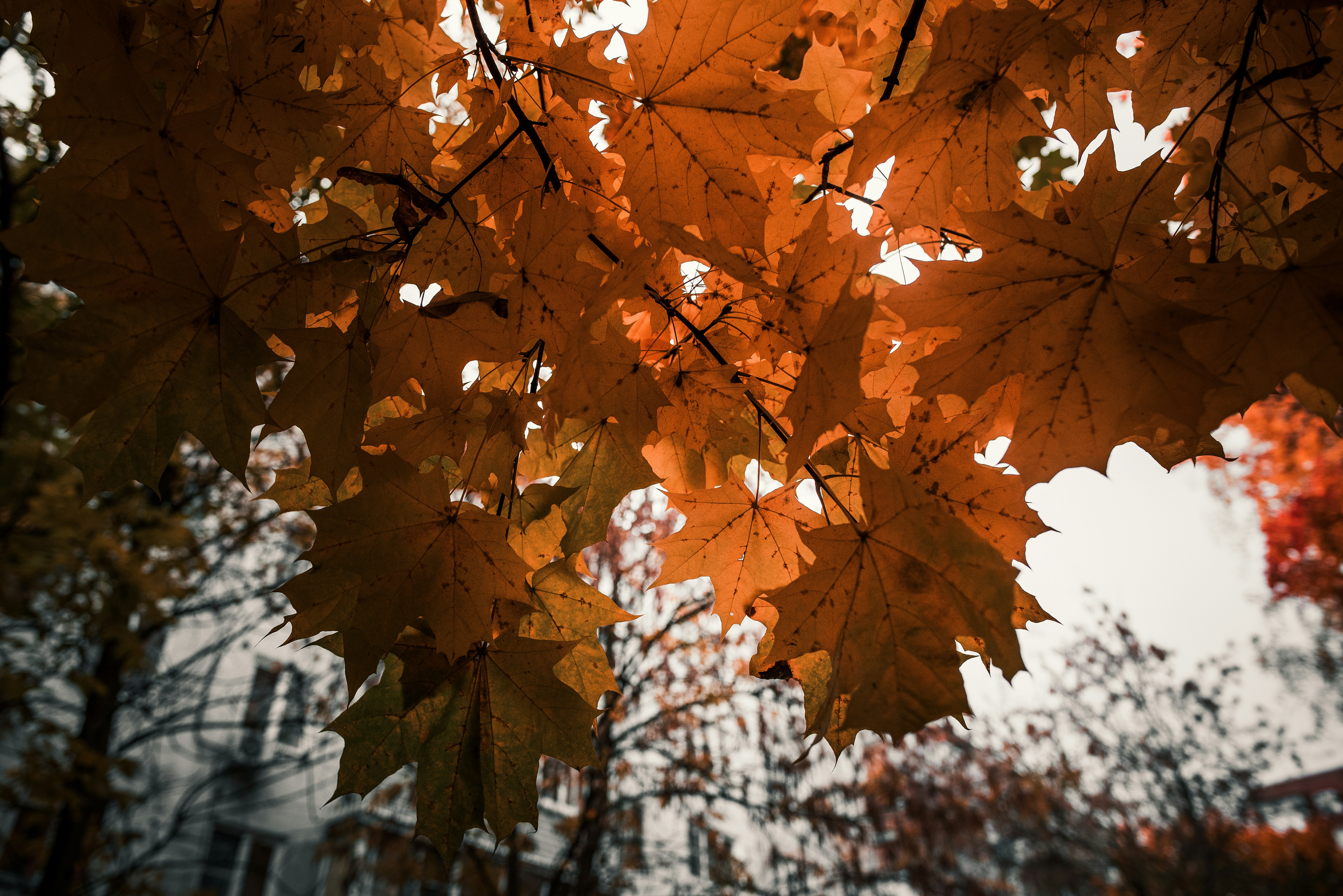 Photo by photonomikon