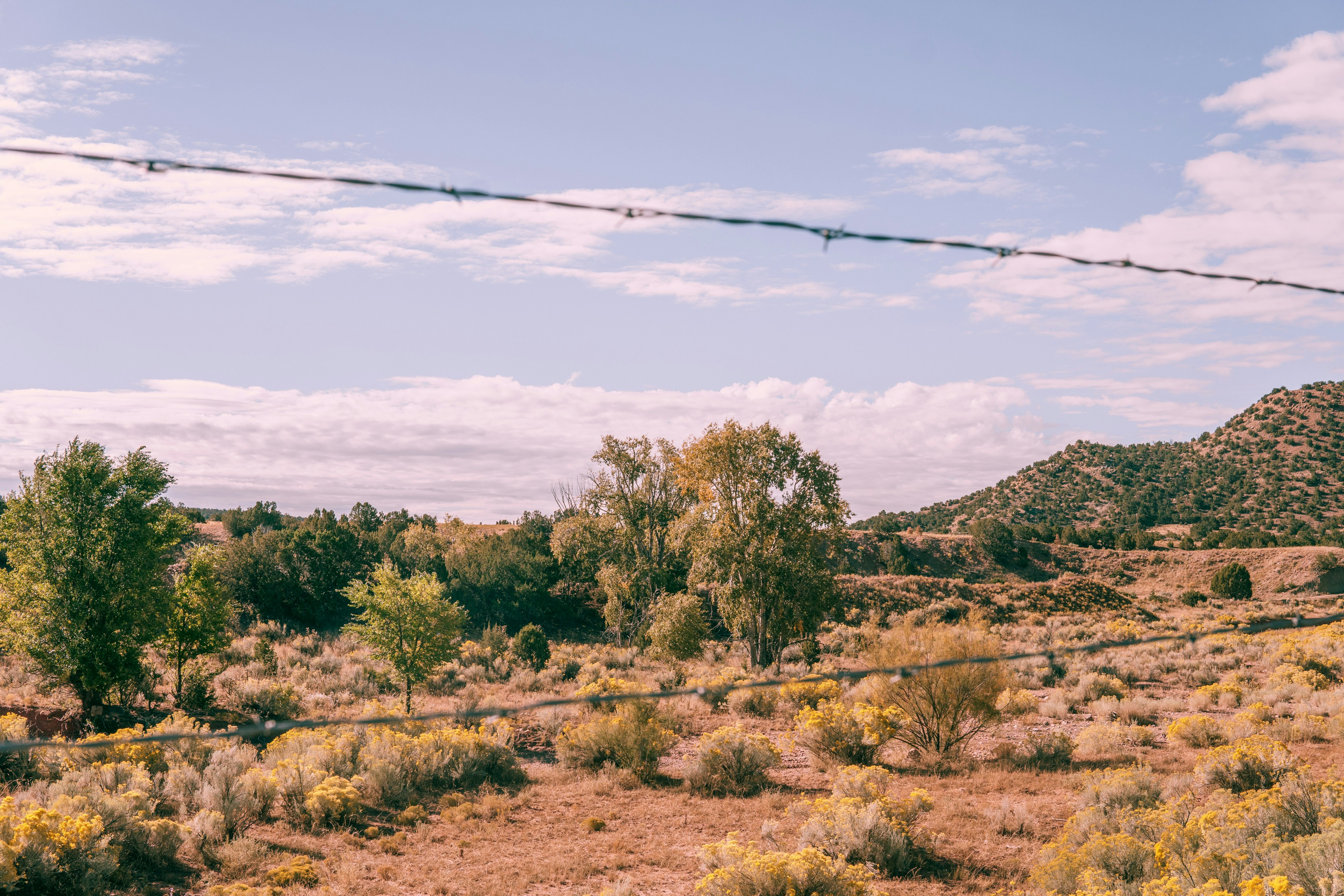 Photo by bitter_fruitt