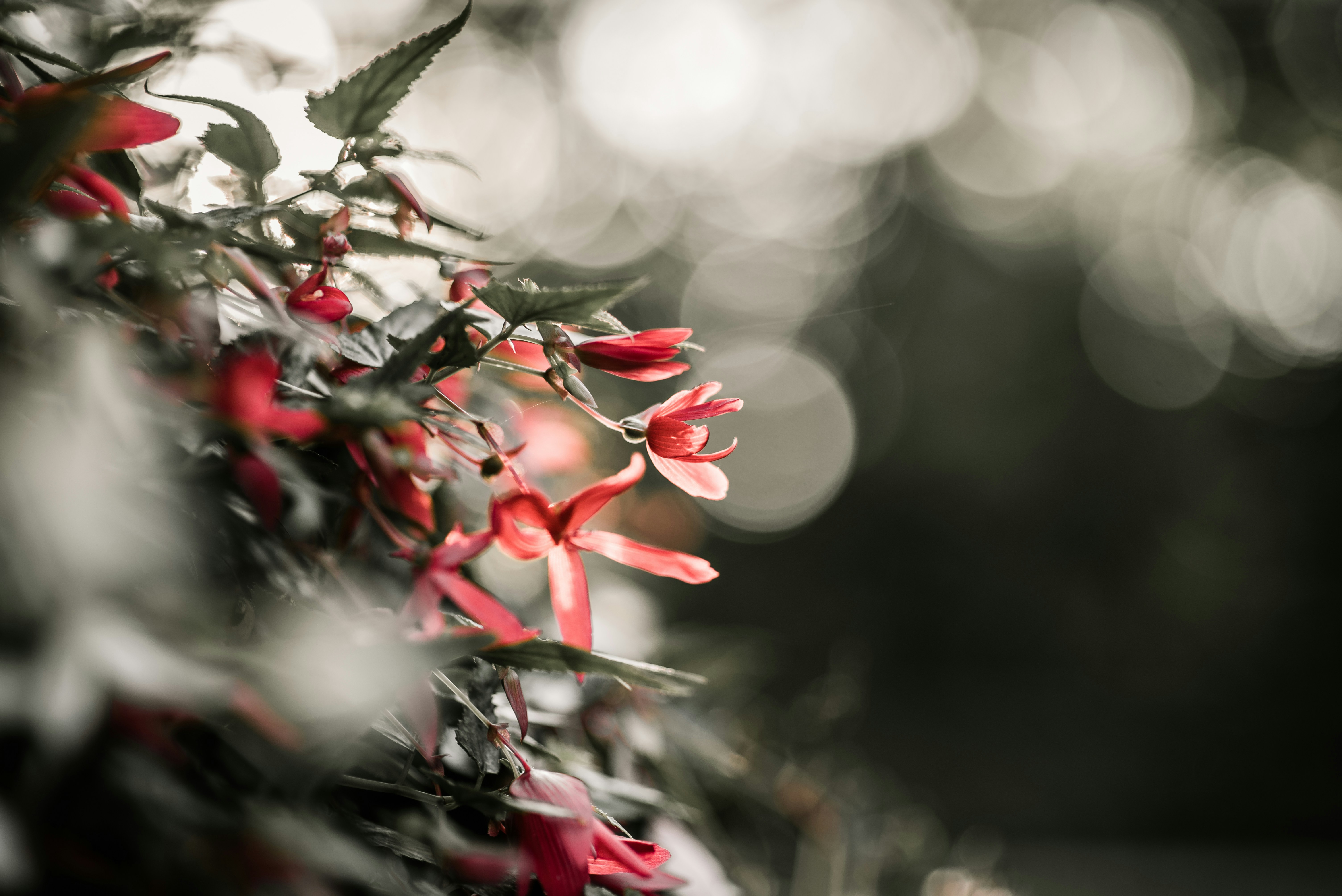 Photo by alexander_ant