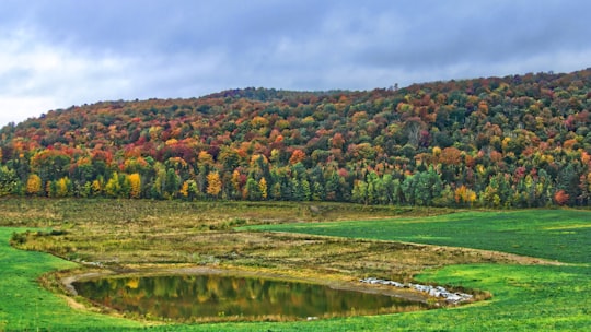 landscape photography of green grass filed near mountain in Bolton-Est Canada