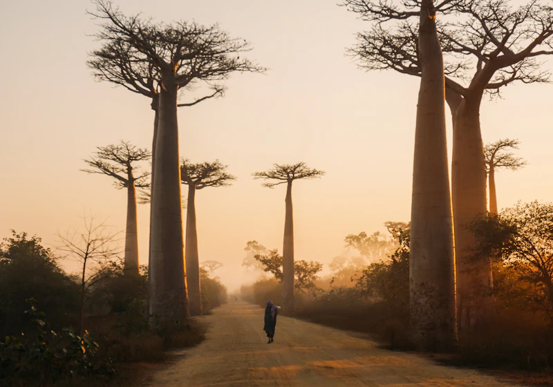 Morondava