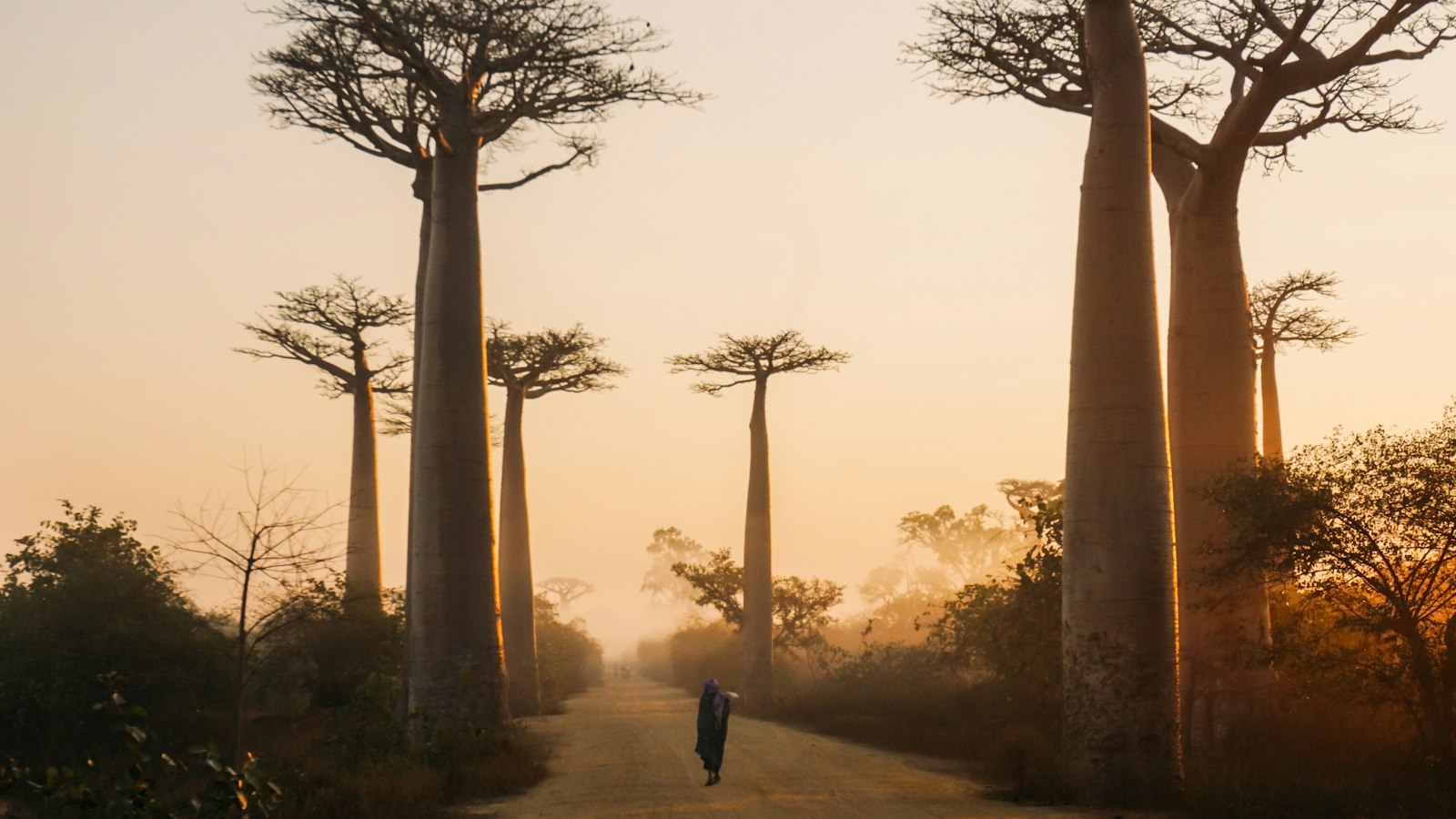 Madagascar