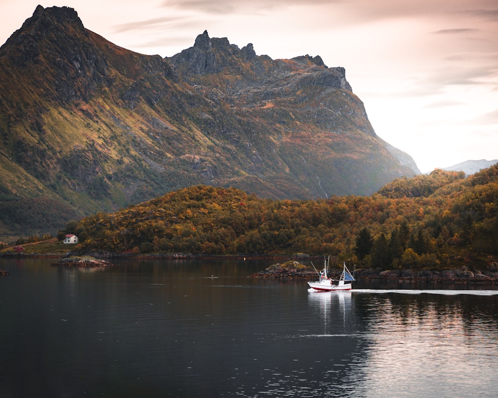 powerboat in body of water