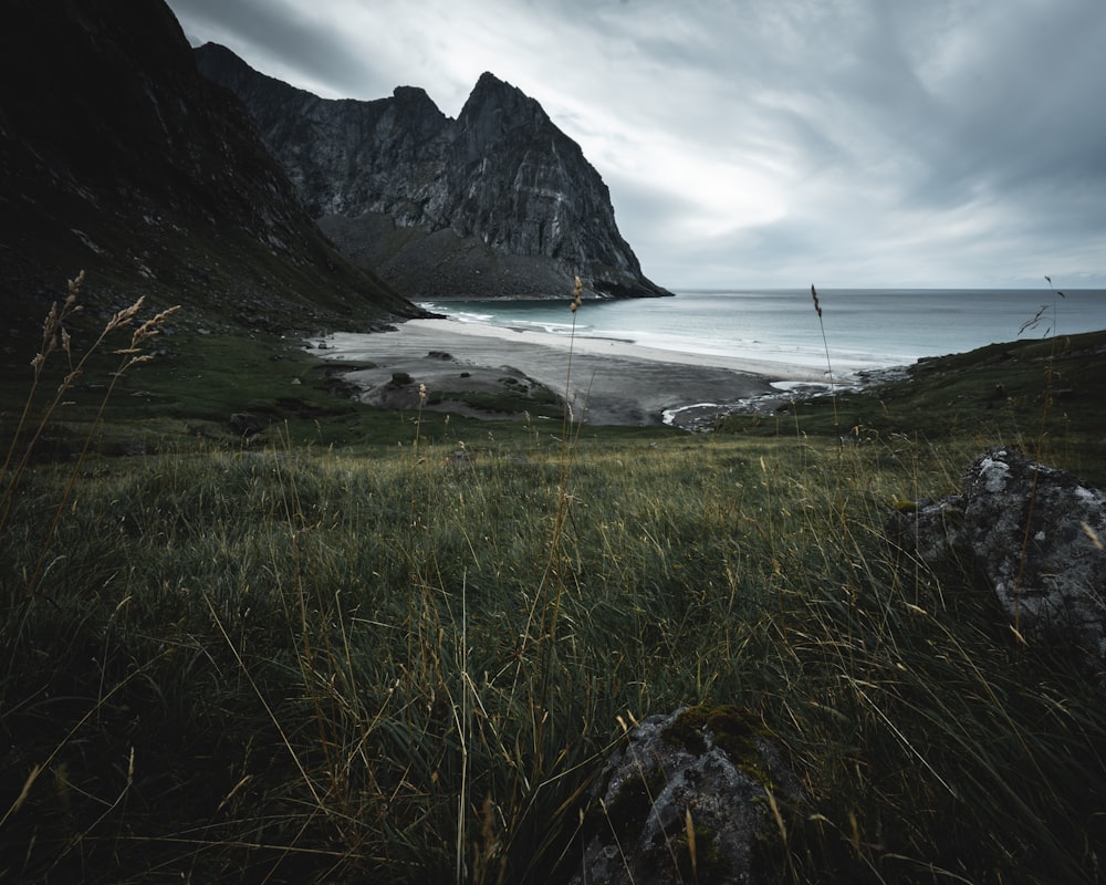 grass field near beach