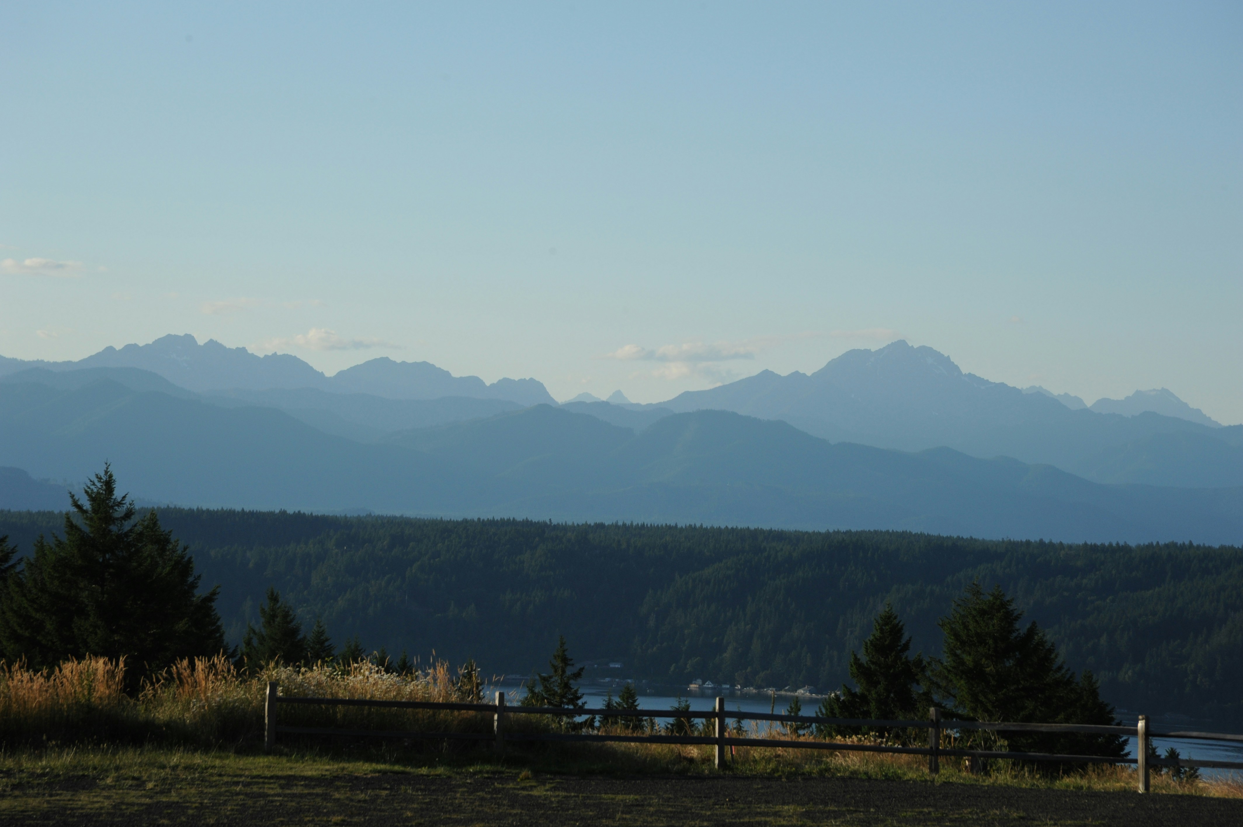 gray wooden fence beside trees and plants during daytime