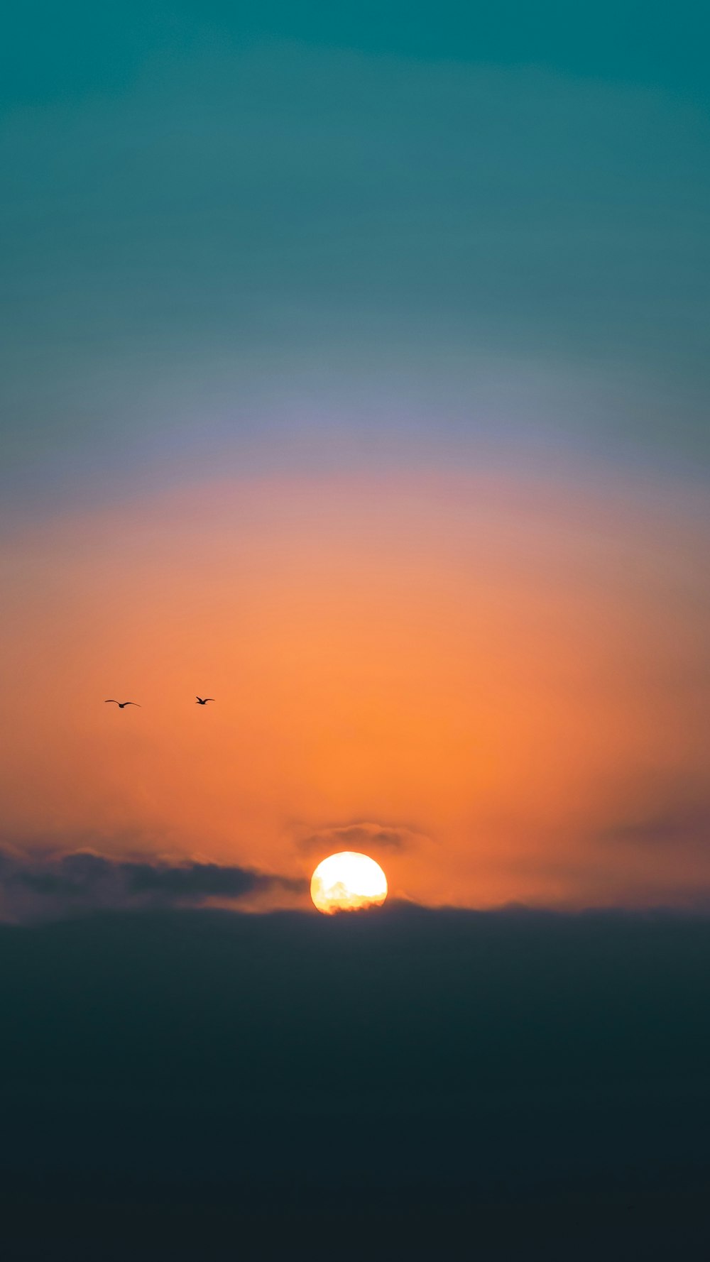 30,000+ Sunset View Pictures | Download Free Images on Unsplash