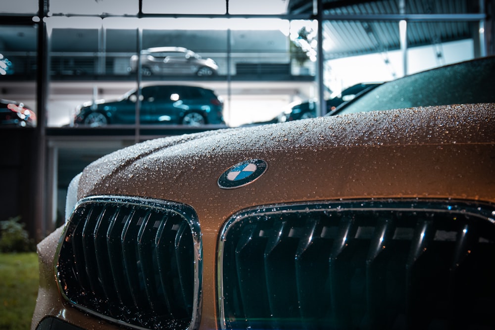 brown and silver bmw car