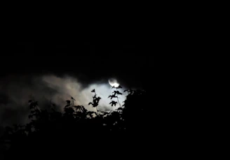 A mysterious dark-themed visual novel scene with characters interacting under moonlight.