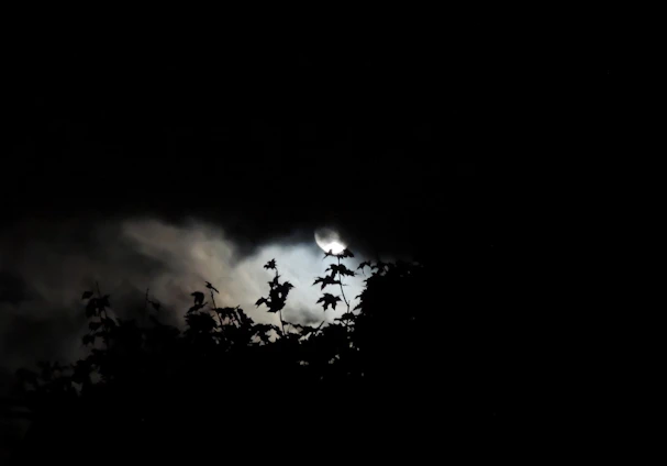 A mysterious dark-themed visual novel scene with characters interacting under moonlight.
