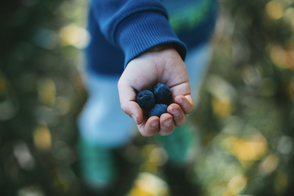 shallow focus photography unknown person holding blueberries