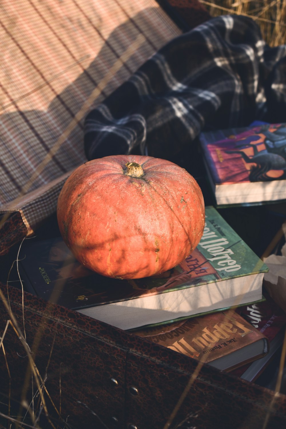 orange pumpkin on books in box