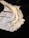 A reflective jacket is displayed with its inside lining exposed. The outer surface has a shiny, metallic appearance, while the lining features a dotted pattern. The jacket includes visible zippers and appears crumpled and spread out against a dark background.