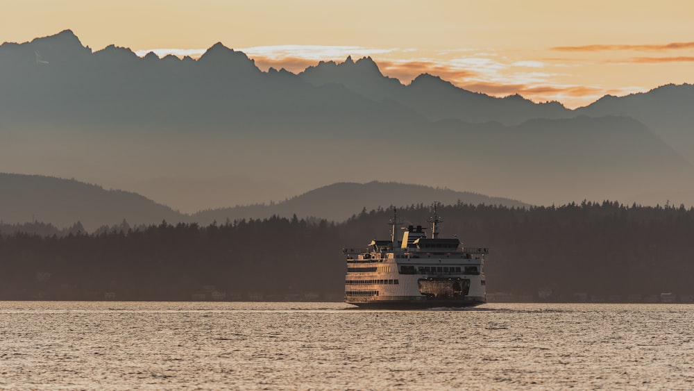 cruise ship near island during day