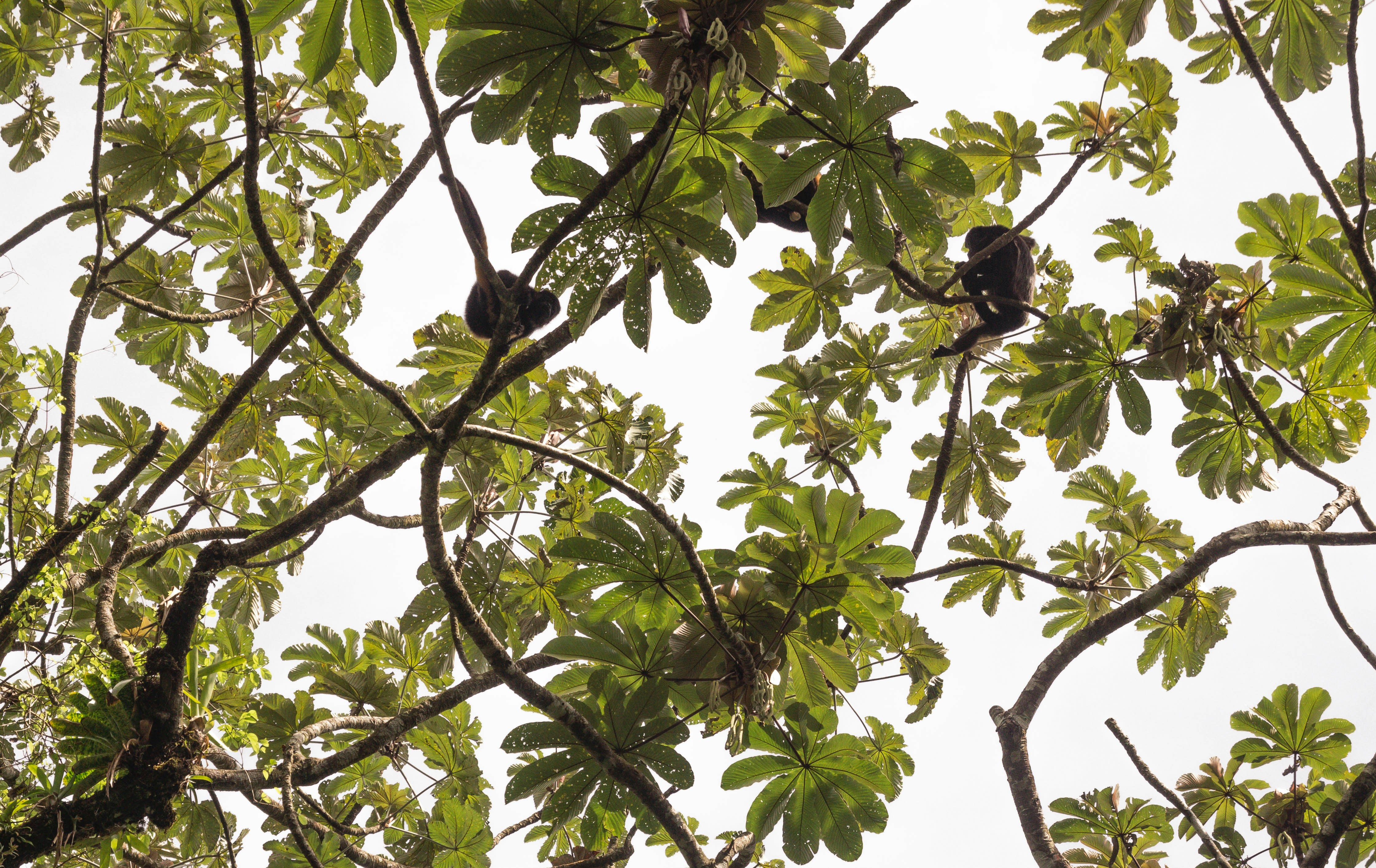 Photo by hobonumber1